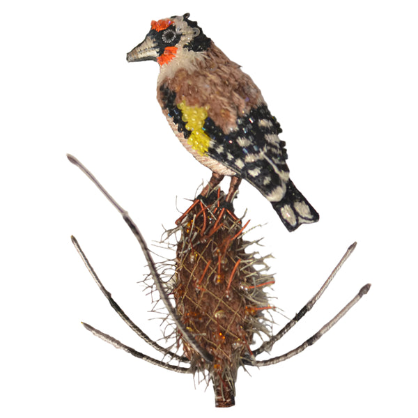 Eastern Goldfinch Brooch Pin