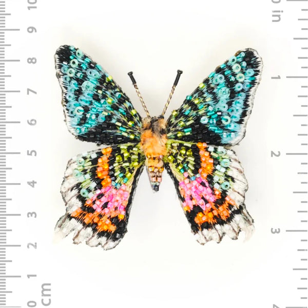 Madagascar Sunset Moth Brooch Pin