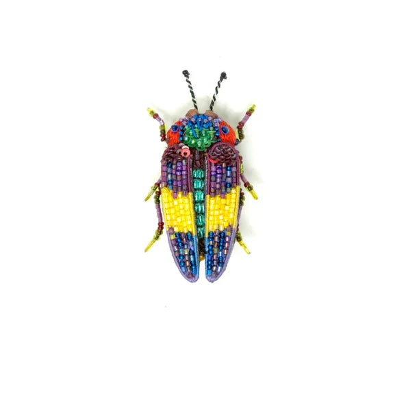 Rebbie's Jewel Beetle Brooch Pin