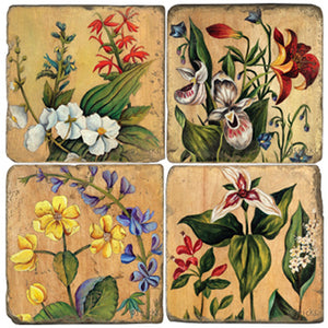 Beautiful varieties of flowers on a neutral wood grain background coaster set