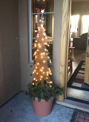 Tall Pencil Tree Sculpture – These showstopper tree sculptures would look perfect alone or grouped at your front door, within your landscaping, near the fireplace, or as a Christmas card display during the holidays - so versatile! displayed at a front door with Christmas lights