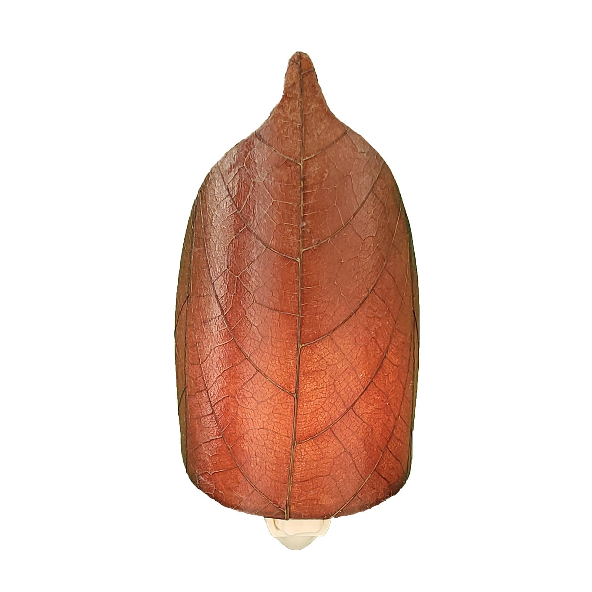 Leaf Nightlight [Assorted Colors]