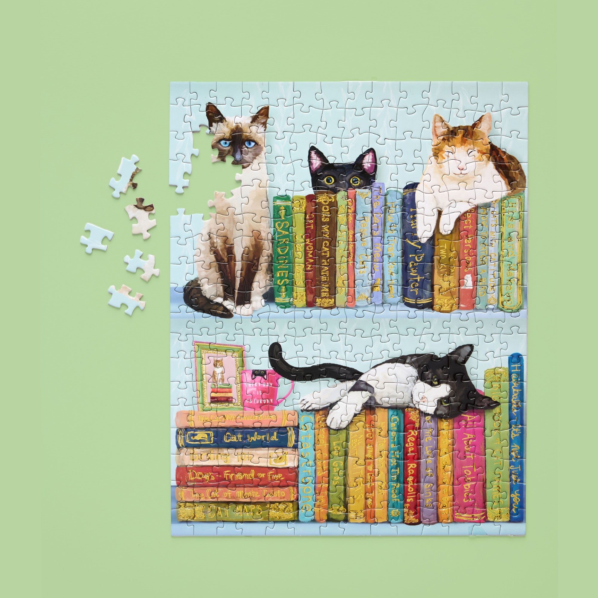 Cats On Books 250 Piece Puzzle Set
