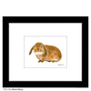 Brown Bunny, Print (#7762A)