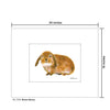 Brown Bunny, Print (#7762A)