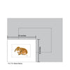 Brown Bunny, Print (#7762A)
