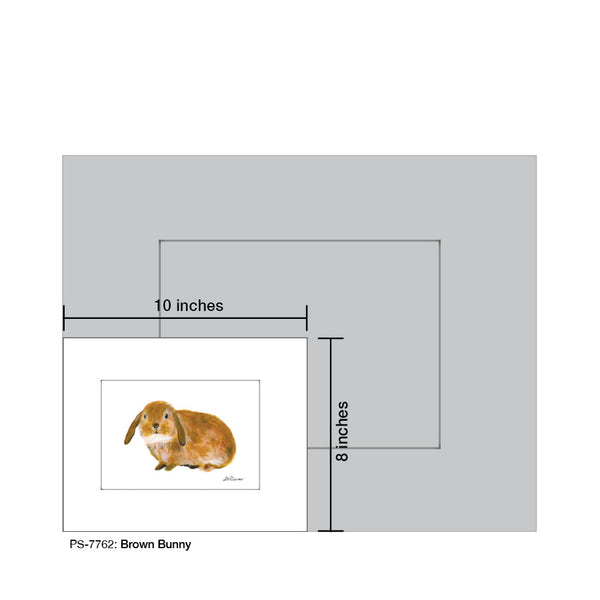 Brown Bunny, Print (#7762A)