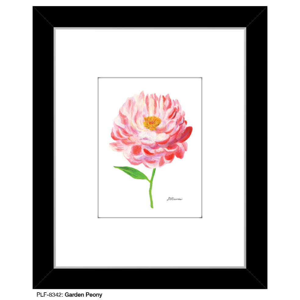 Garden Peony, Print (#8342B)