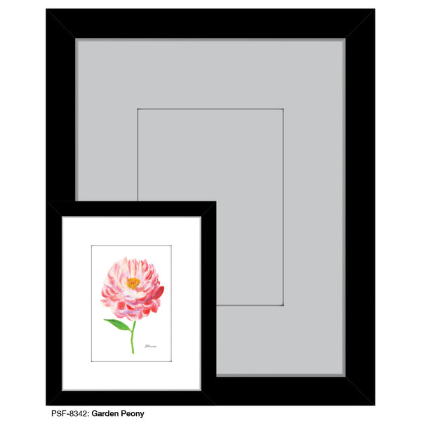 Garden Peony, Print (#8342B)
