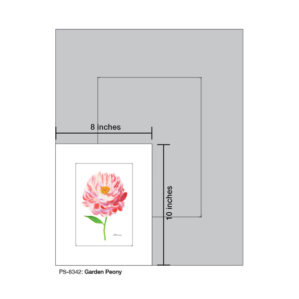 Garden Peony, Print (#8342B)