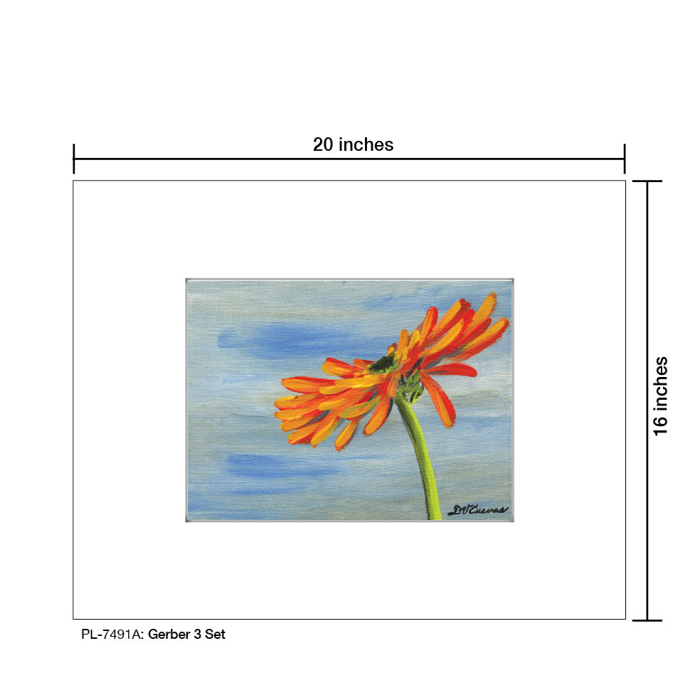 Gerber 3 Set, Print (#7491A)