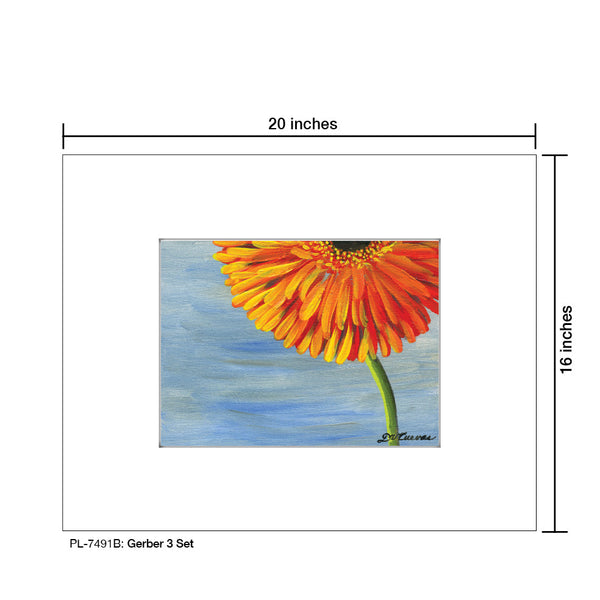 Gerber 3 Set, Print (#7491B)