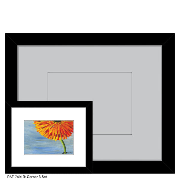 Gerber 3 Set, Print (#7491B)
