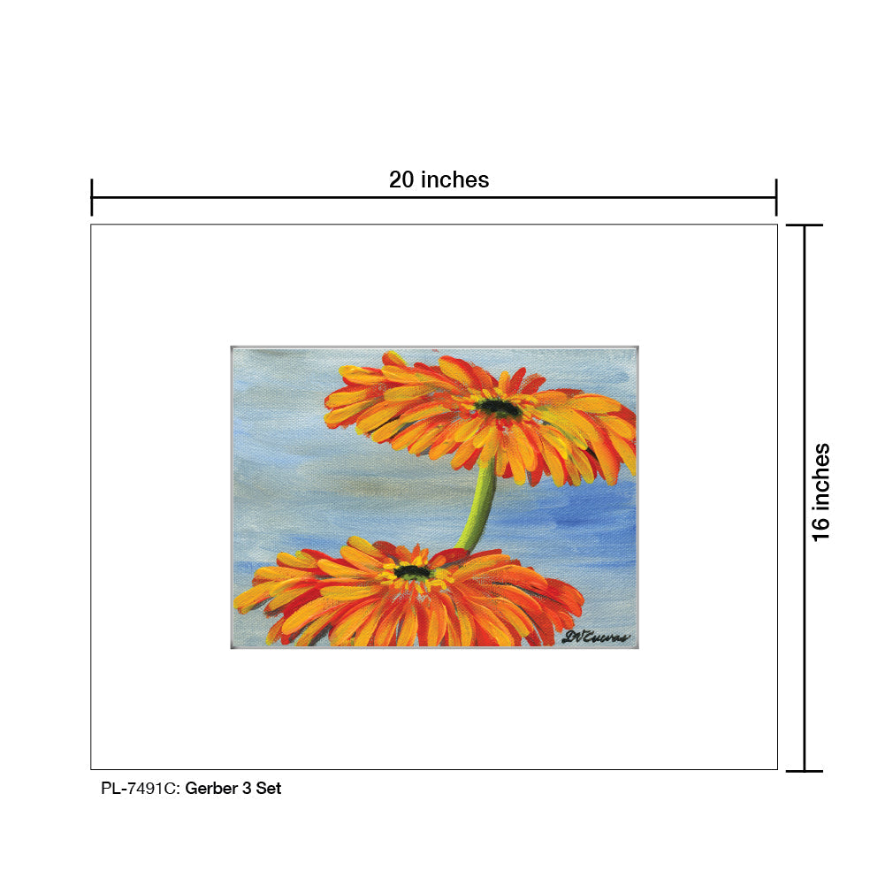Gerber 3 Set, Print (#7491C)