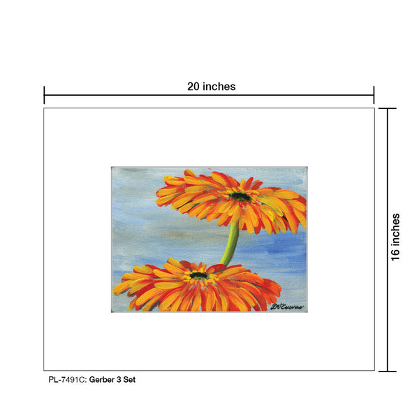 Gerber 3 Set, Print (#7491C)