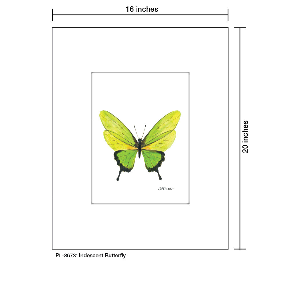 Iridescent Butterfly, Print (#8673D)