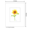 Ring of Fire Sunflower, Print (#8709A)