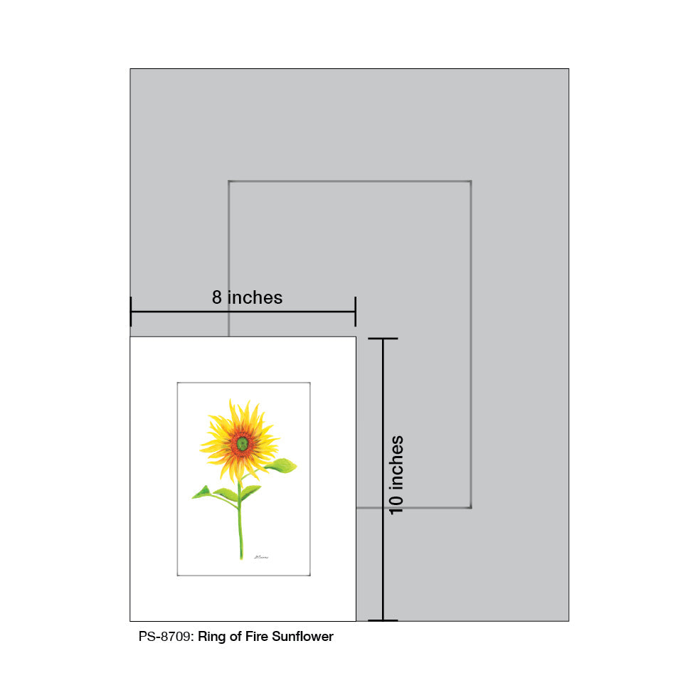 Ring of Fire Sunflower, Print (#8709A)