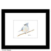 Titmouse, Print (#8669A)