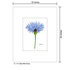 Blue Wild Flower Stem, Print (#7728A)