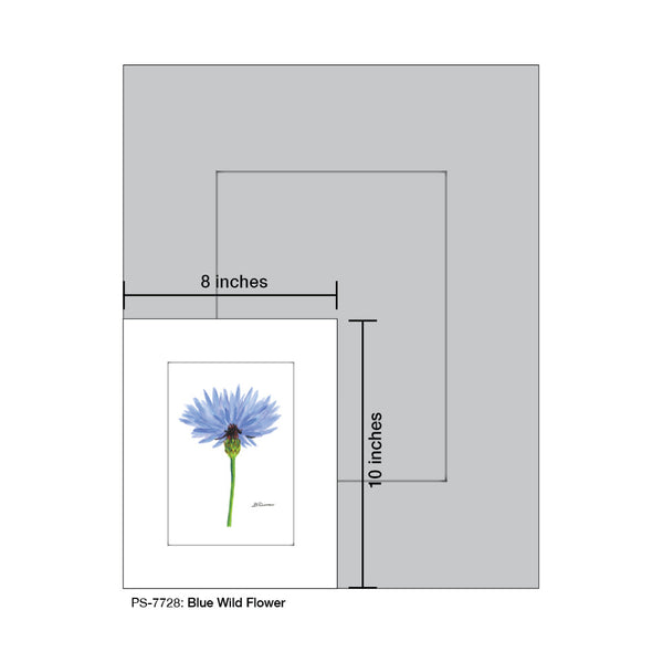 Blue Wild Flower Stem, Print (#7728A)