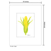Corn, Print (#8637A)