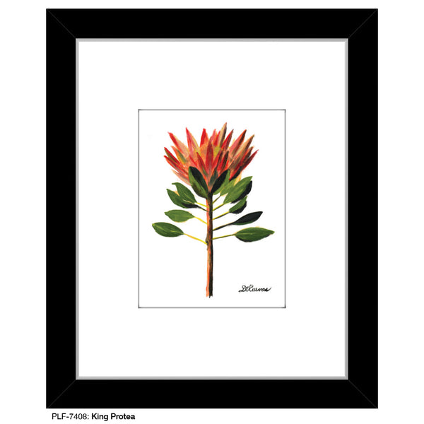 King Protea, Print (#7408A)