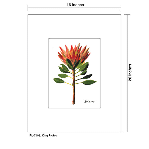 King Protea, Print (#7408A)