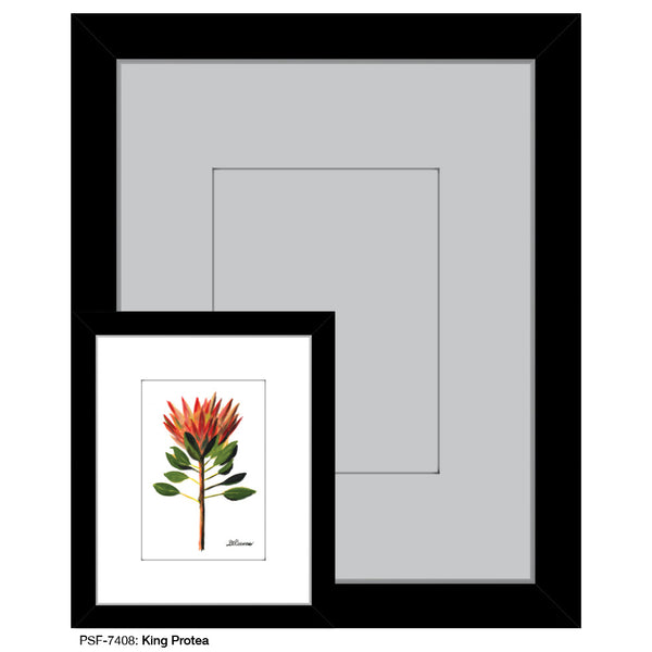 King Protea, Print (#7408A)