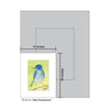 Slaty Flowerpiercer, Print (#8315C)