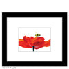 Poppy 12, Print (#7215F)