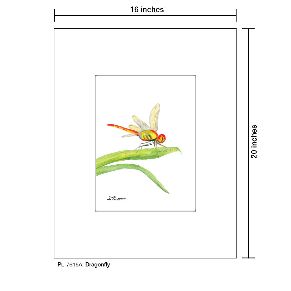 Dragonfly, Print (#7616A)