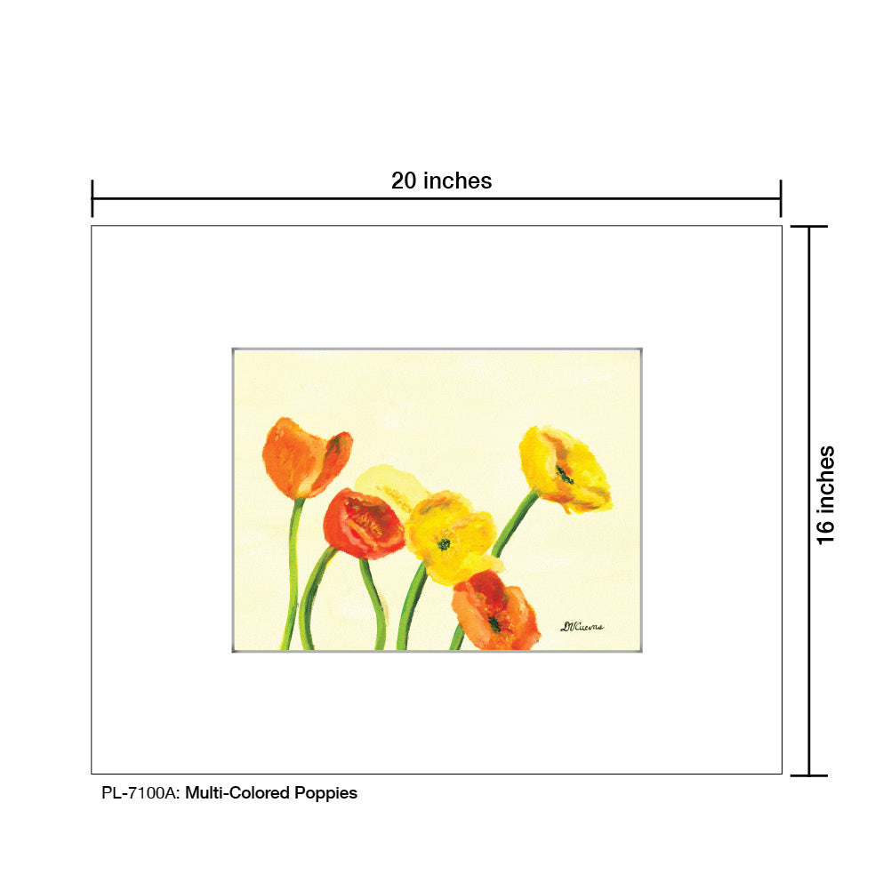 Multi-Colored Poppies, Print (#7100A)
