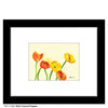 Multi-Colored Poppies, Print (#7100A)