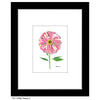 Peony 3, Print (#7258C)