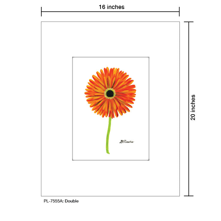 Double, Print (#7555A)