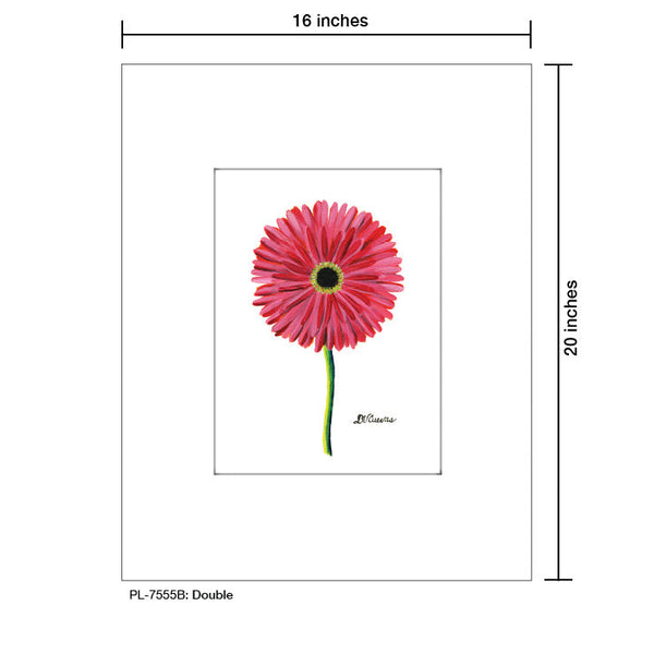 Double, Print (#7555B)