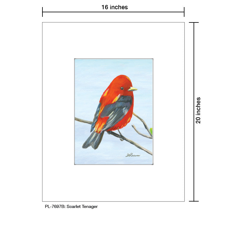 Scarlet Tenager, Print (#7697B)