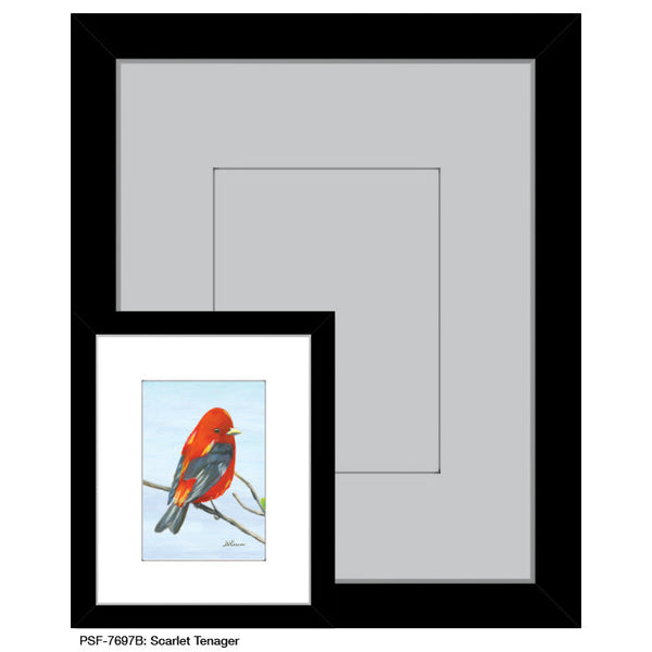Scarlet Tenager, Print (#7697B)