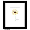 Poppy Lucid, Print (#7787A)