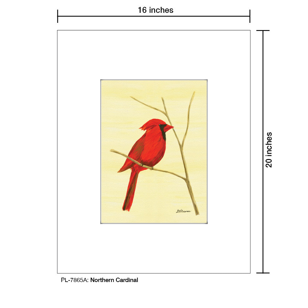 Northern Cardinal, Print (#7865A)