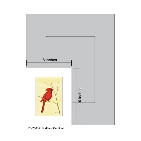 Northern Cardinal, Print (#7865A)