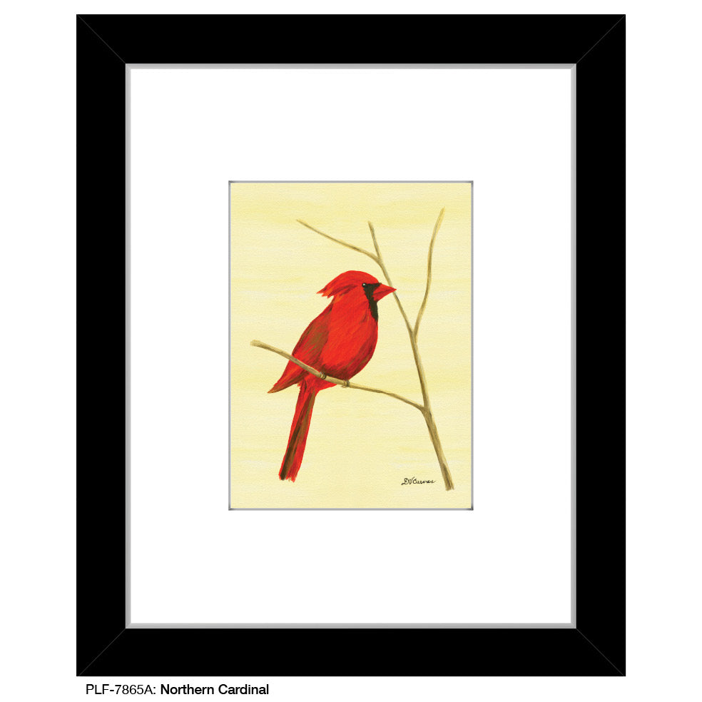 Northern Cardinal, Print (#7865A)