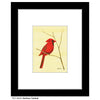Northern Cardinal, Print (#7865A)