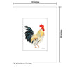 Rooster Faverolles, Print (#8371A)