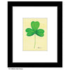 Irish Clover, Print (#8652A)