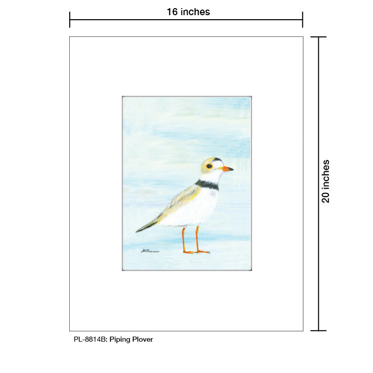 Piping Plover, Print (#8814B)
