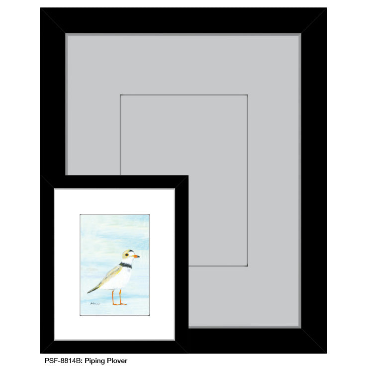 Piping Plover, Print (#8814B)