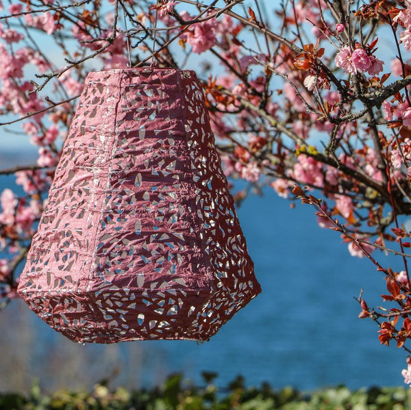 Soji Stella Multi-Shape Solar Lantern 5-pack (Save $35)