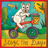 Illustration of a french bulldog on a tricycle with a bird and sun in the background, featuring the text 'Seize the Day'.